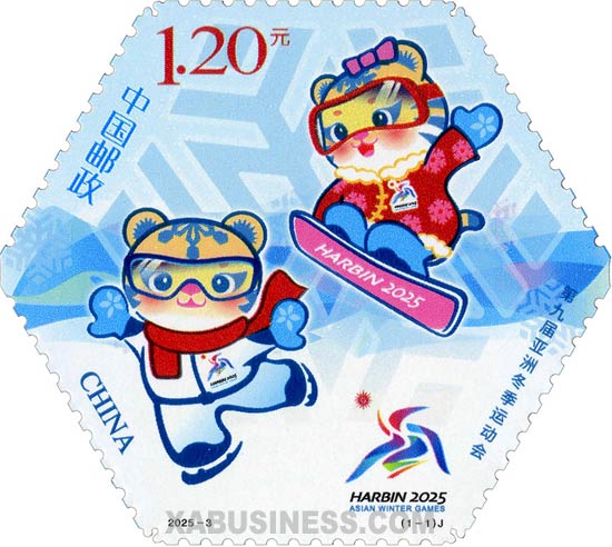 The 9th Asian Winter Games