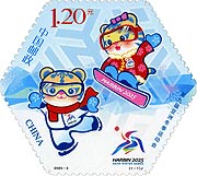 The 9th Asian Winter Games